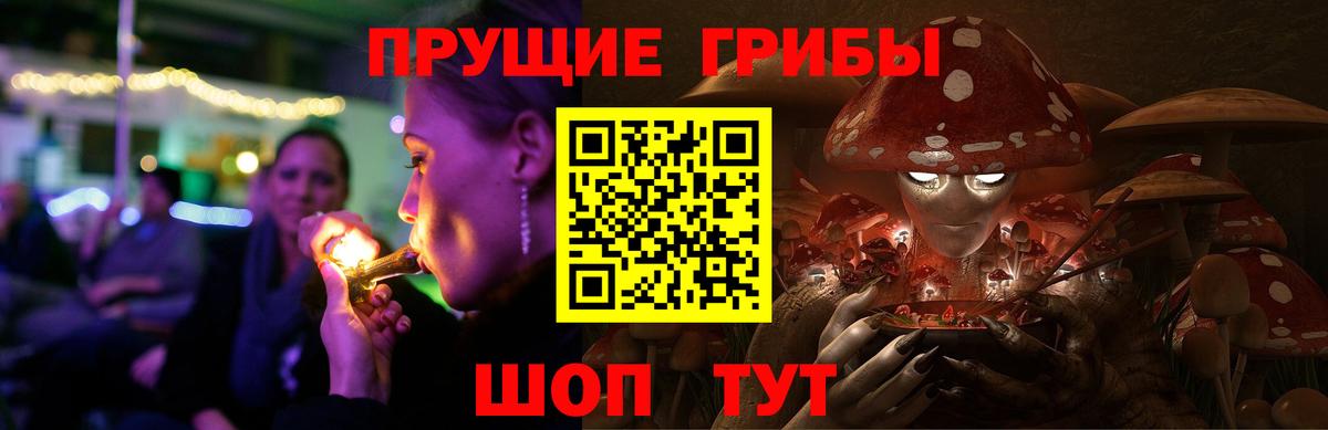 Саянск  Псилоцибиновые грибы MAGIC MUSHROOMS  Вход с VPN  Галлюциногенные грибы Cubensis 